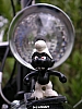 PICT2161.JPG
